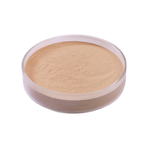 Acid Protease Acid Protease